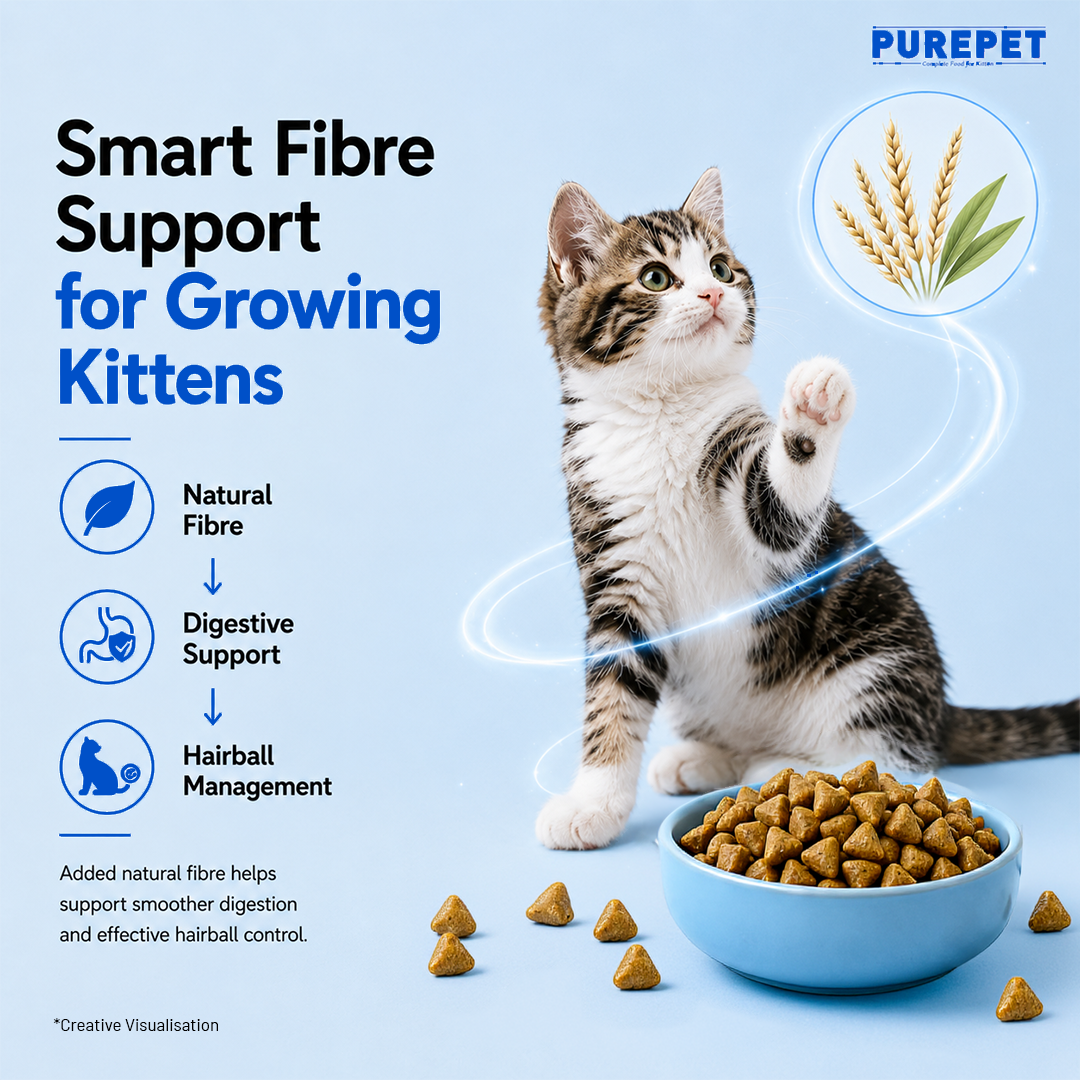 Purepet Ocean Fish Kitten Dry Food Cats- Dry food Purepet