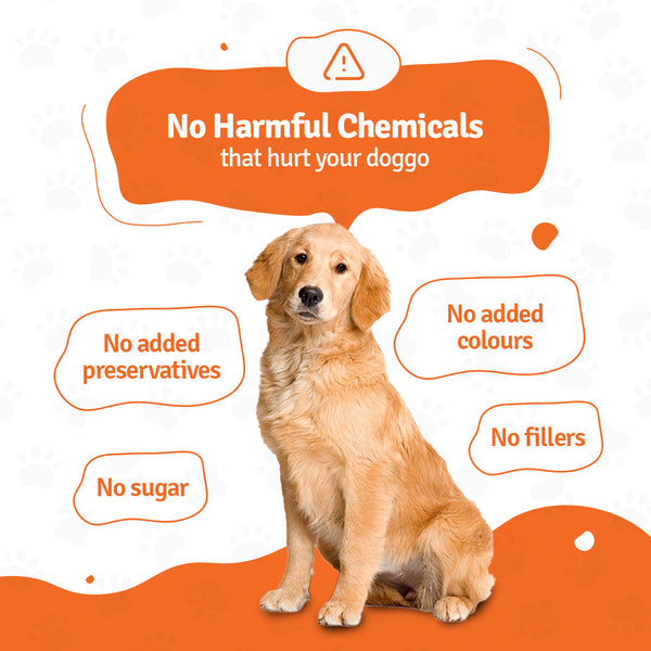 BLEP Paneer Quinoa Pawer Dog Wet Food (300g)