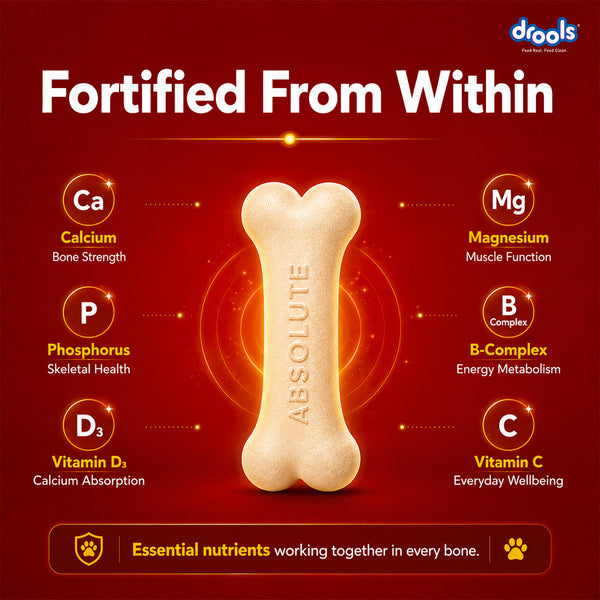 Drools Absolute Calcium Bones Dog treats (Jar)