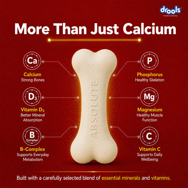Drools Absolute Milk Bone Jar