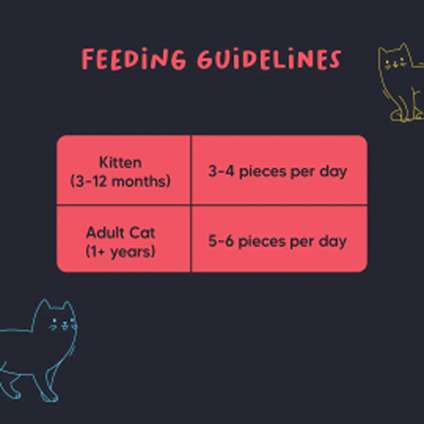 HUFT Meowsi Grain Free Chicken, Fish & Cranberry Power Bites Cat Treats