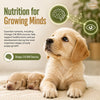 Signature Grain Zero Real Chicken, Egg and Vegetables Mother and Puppy Starter Dog Dry Food Dogs- Dry Food Signature