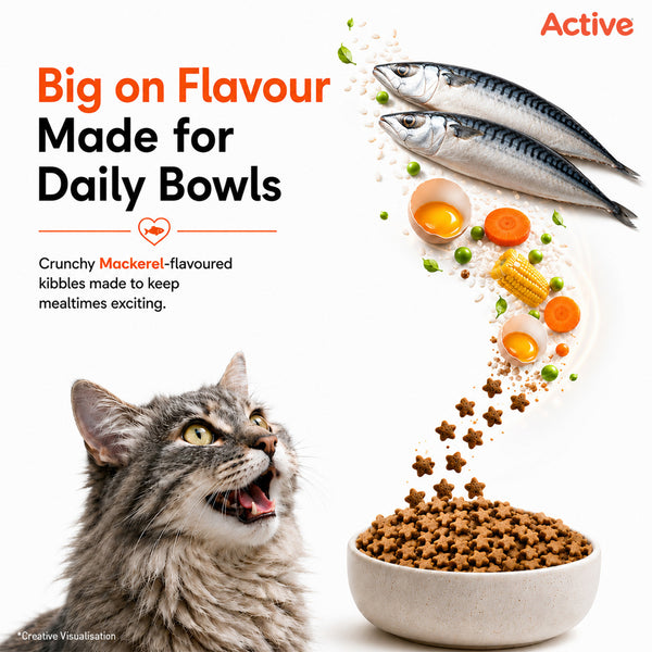 Active Mackerel Adult Cat Dry Food (Buy 1 Get 1)