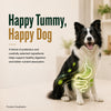 Signature Grain Zero Real Chicken, Egg and Vegetables Adult Dog Dry Food Dogs- Dry Food Signature