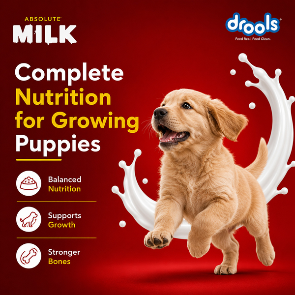 Drools Absolute Milk for Newborn Puppies