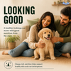 Drools 100% Veg Chunks in Gravy Puppy Wet Food Dogs-Wet Food Drools