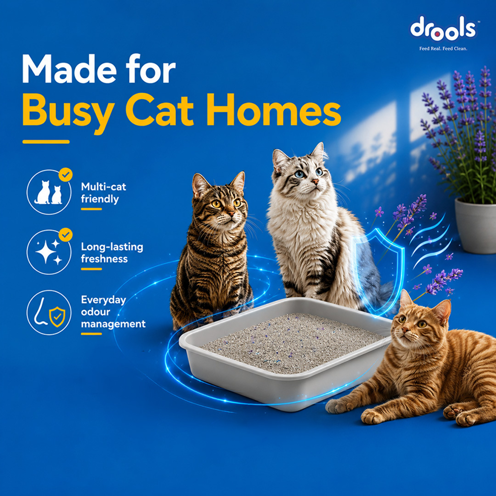 Drools Lavender Scented Clumping Cat Litter