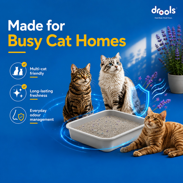 Drools Lavender Scented Clumping Cat Litter