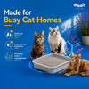 Drools Lavender Scented Clumping Cat Litter Cats-Litter Drools