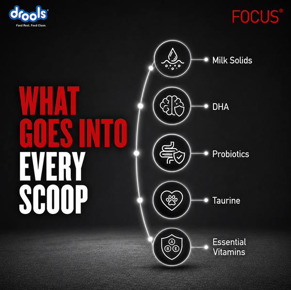 Drools Focus Pup Booster Puppy Weaning Diet for All Breeds (300g)