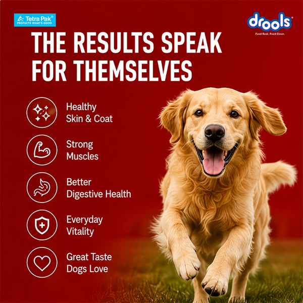 Drools Tetra Pack Real Chicken Biryani Dog Fresh Food