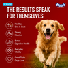 Drools Tetra Pak Real Chicken Biryani Dog Fresh Food Dogs-Fresh Food Drools