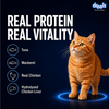 Drools Ocean Fish Mousse Adult Cat Wet Food Cats-Wet Food Drools