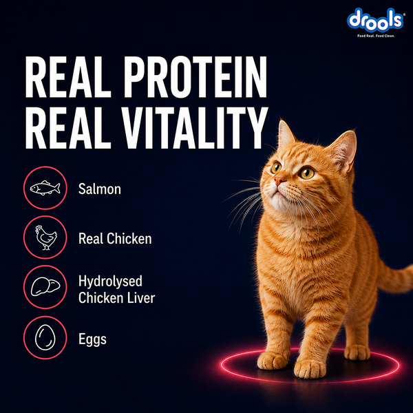 Drools Salmon Mousse Adult Cat Wet Food