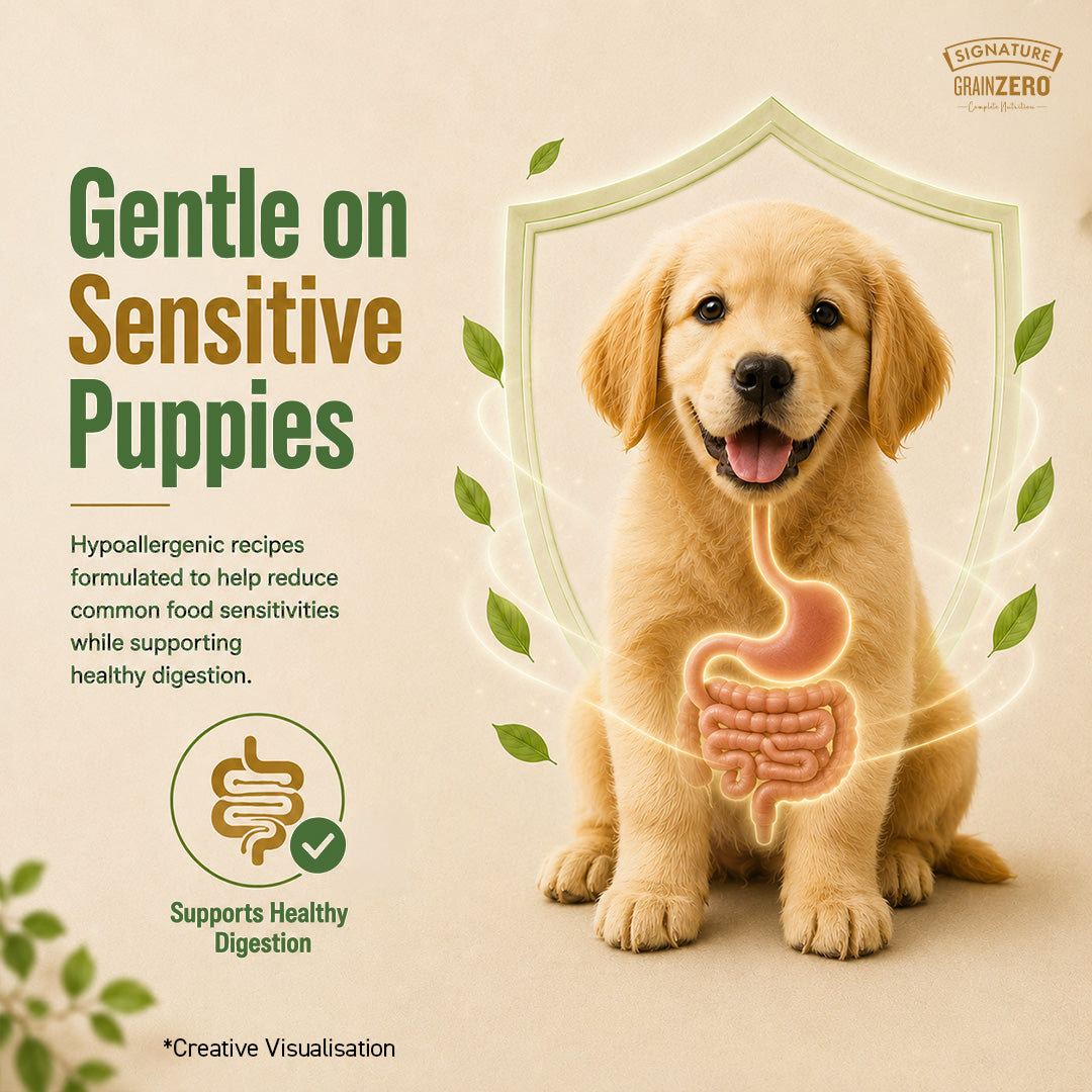 Signature Grain Zero Real Chicken, Egg and Vegetables Puppy Dog Dry Food
