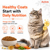 Active Mackerel Adult Cat Dry Food (Buy 1 Get 1) Cats- Dry food Active