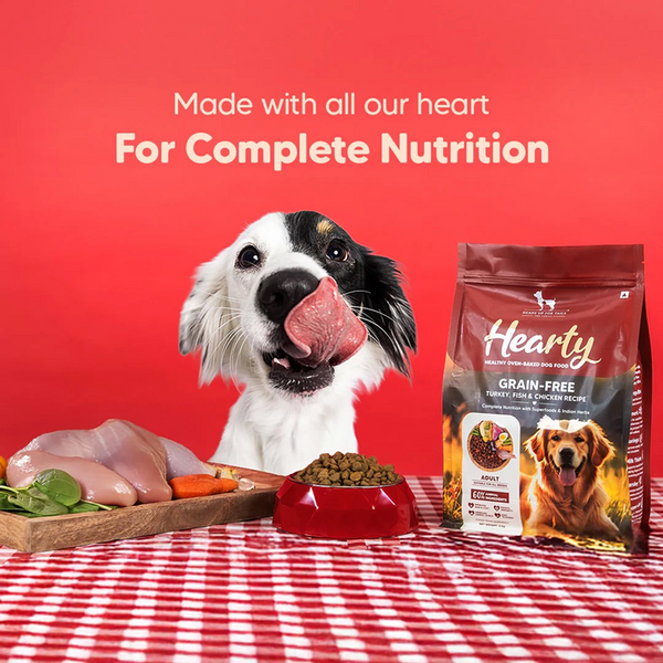 HUFT Hearty Oven Baked Grain Free Turkey, Fish & Chicken with Superfood Adult Dog Dry Food
