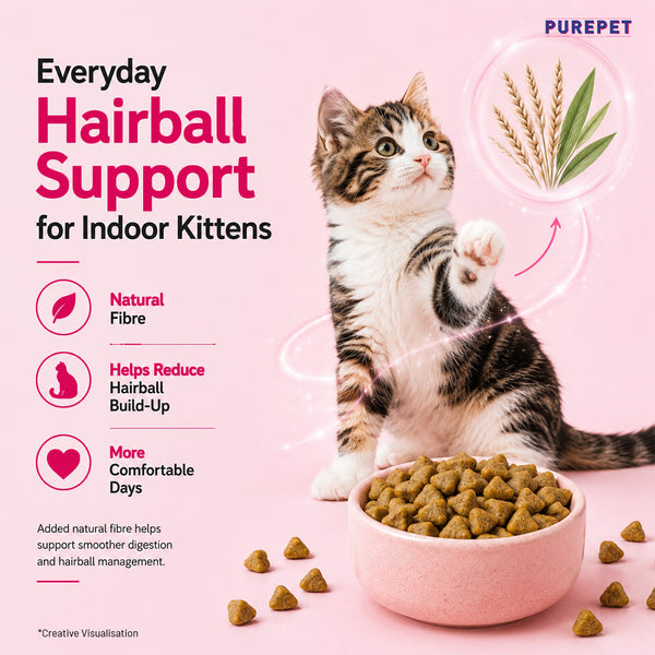 Purepet Tuna and Salmon Kitten Cat Dry Food
