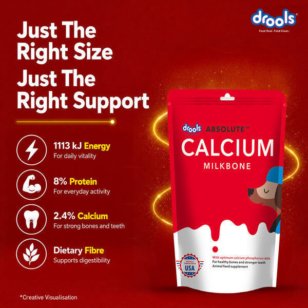 Drools Absolute Calcium Bone Pouch for Dogs