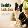 Signature Grain Zero Real Chicken, Egg and Vegetables Adult Dog Dry Food Dogs- Dry Food Signature