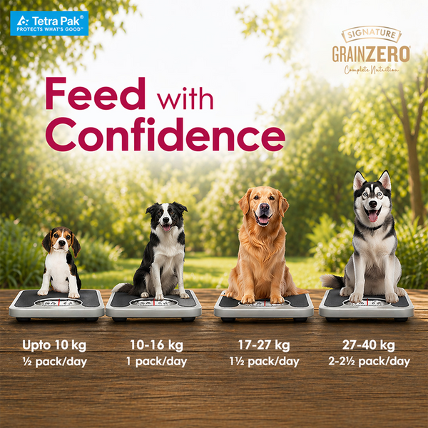 Signature Grain Zero Tetra Pack Real Chicken Turkey Dog Fresh Food