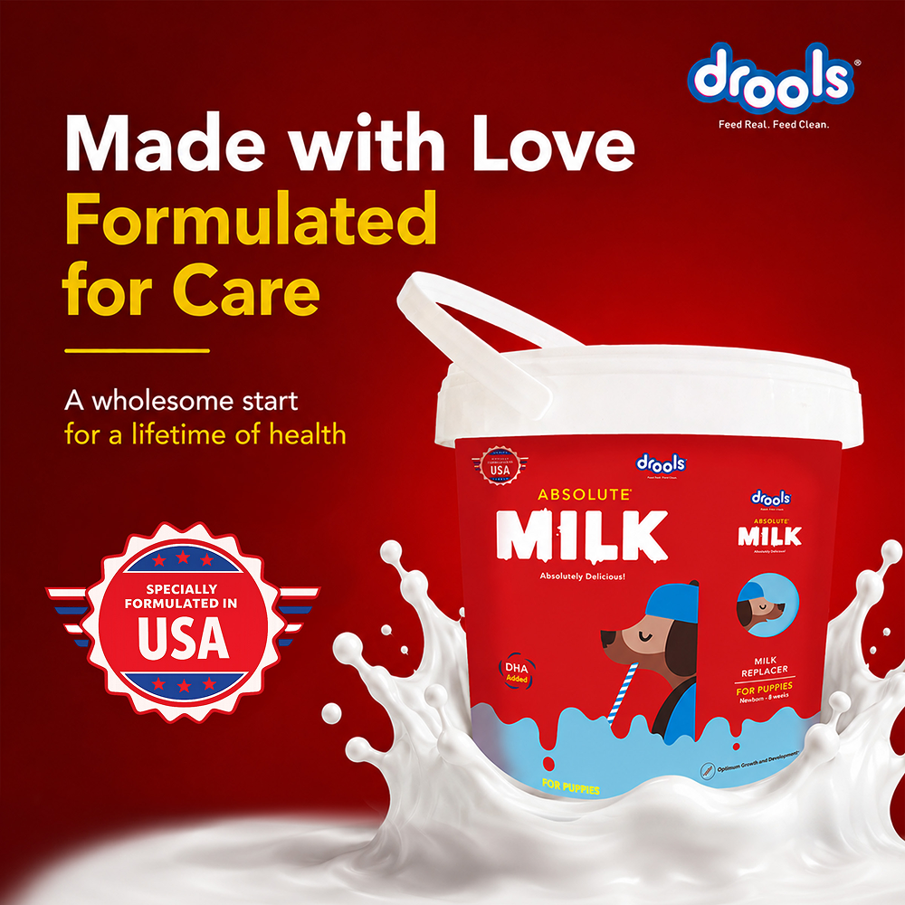 Drools Absolute Milk for Newborn Puppies Dogs-Health & Wellness Drools