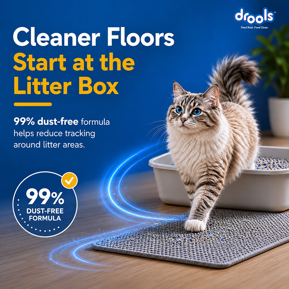 Drools Lavender Scented Clumping Cat Litter