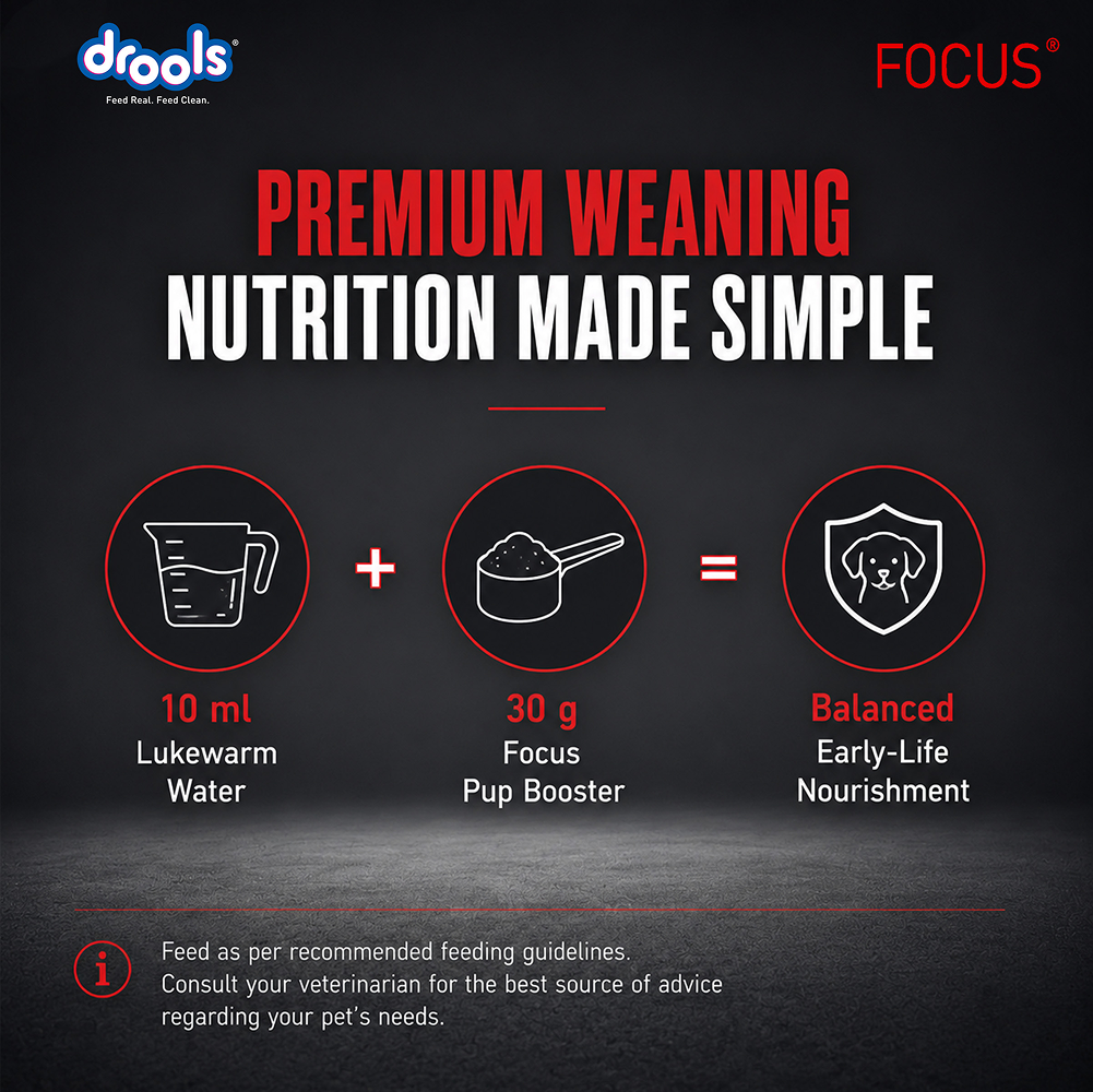 Drools Focus Pup Booster Puppy Weaning Diet for All Breeds (300g) Dogs- Dry Food Drools Focus