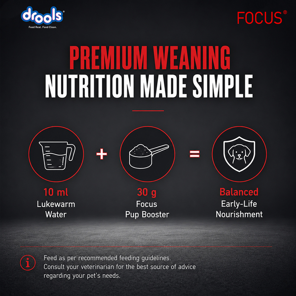 Drools Focus Pup Booster Puppy Weaning Diet for All Breeds (300g)