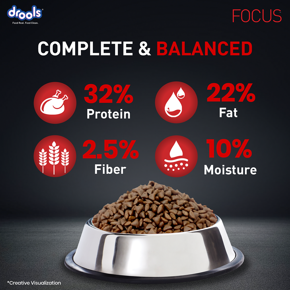 Drools Focus Super Premium Starter Dog Dry Food | Corn & Wheat Free Formula Dogs- Dry Food Drools Focus
