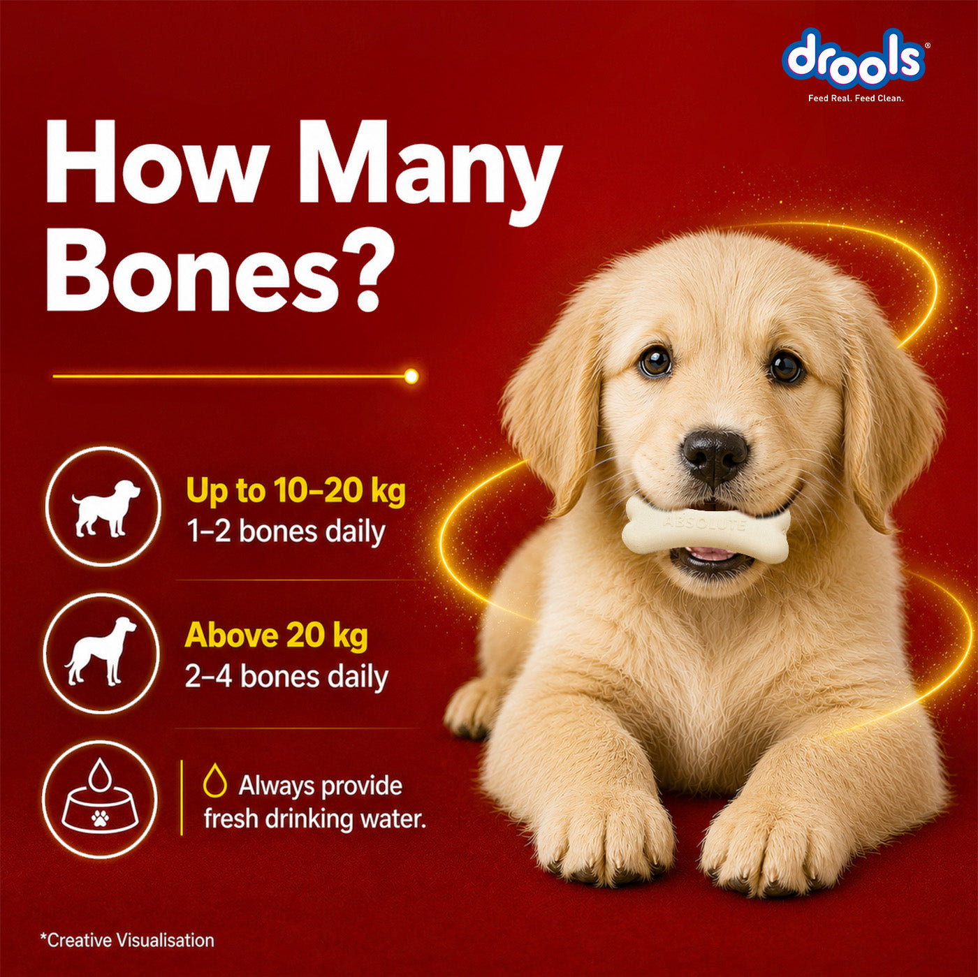 Drools Absolute Calcium Bones Dog treats (Jar) Dog Treats + Others Drools