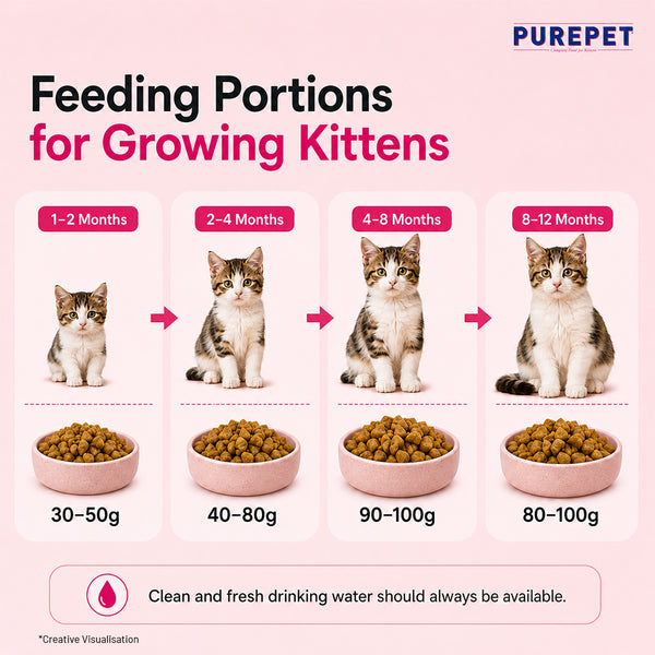 Purepet Tuna and Salmon Kitten Cat Dry Food