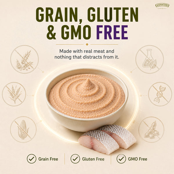 Signature Grain Zero Ocean Fish Mousse Kitten Cat Wet Food