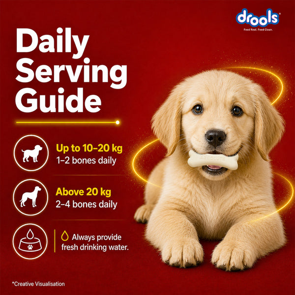 Drools Absolute Milk Bone Jar