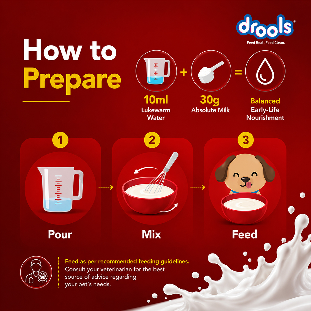 Drools Absolute Milk for Newborn Puppies Dogs-Health & Wellness Drools