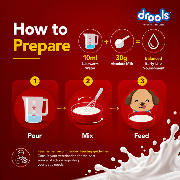 Drools Absolute Milk for Newborn Puppies