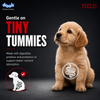 Drools Focus Pup Booster Puppy Weaning Diet for All Breeds (300g)