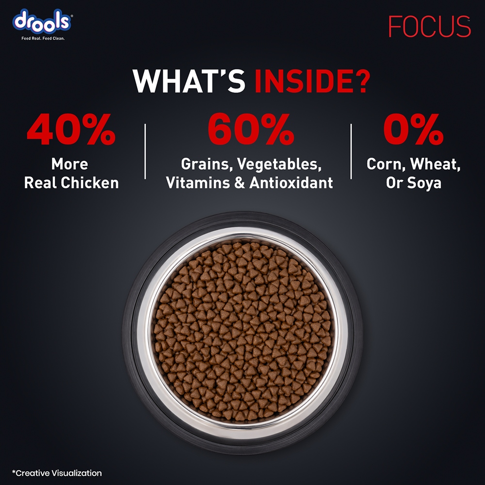 Drools Focus Super Premium Starter Dog Dry Food | Corn & Wheat Free Formula Dogs- Dry Food Drools Focus