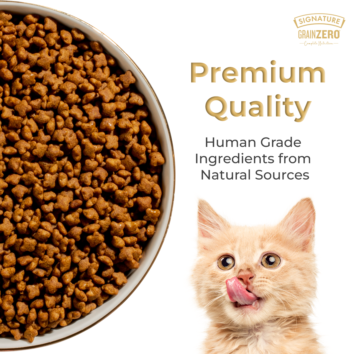 Signature Grain Zero Ocean Fish, Sardine and Mackerel Adult Cat Dry Food Cats- Dry food Signature
