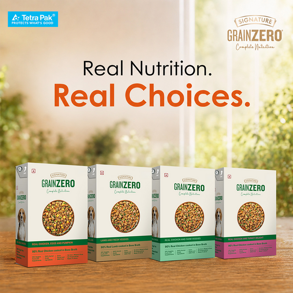Signature Grain Zero Tetra Pack Real Chicken Egg & Pumpkin Dog Fresh Food