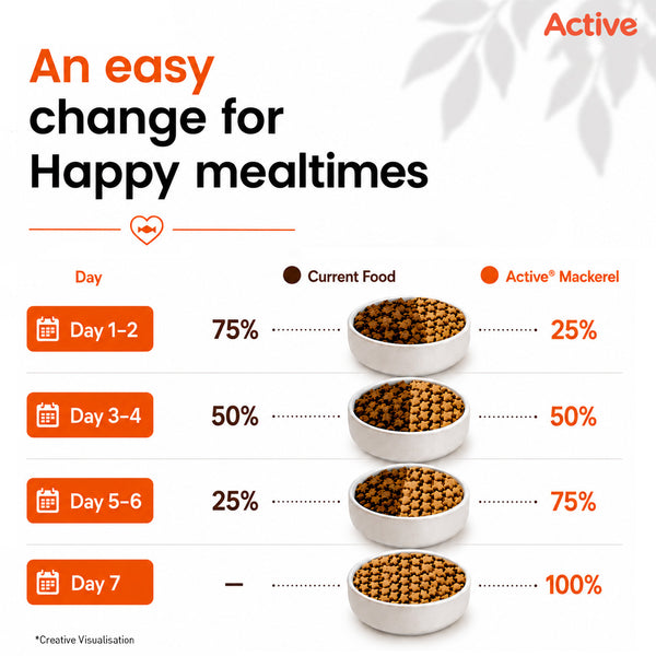 Active Mackerel Adult Cat Dry Food (Buy 1 Get 1)
