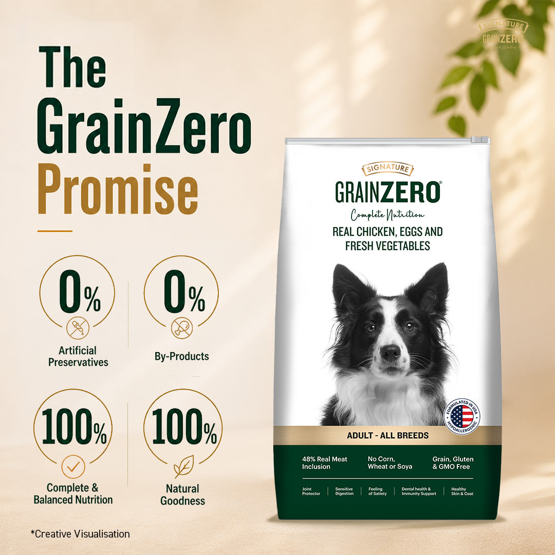 Signature Grain Zero Real Chicken, Egg and Vegetables Adult Dog Dry Food
