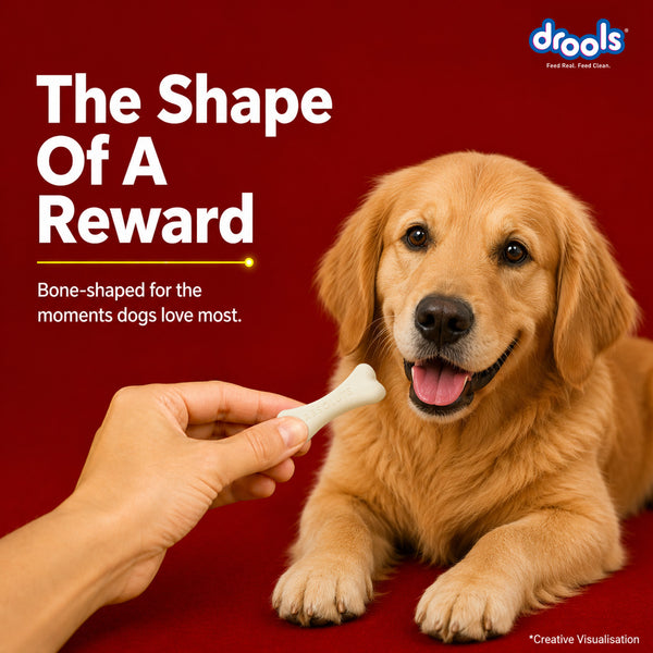Drools Absolute Milk Bone Jar