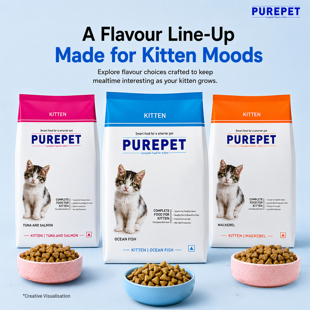 Purepet Ocean Fish Kitten Dry Food Cats- Dry food Purepet