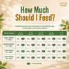 Signature Grain Zero Real Chicken, Egg and Vegetables Puppy Dog Dry Food Dogs- Dry Food Signature