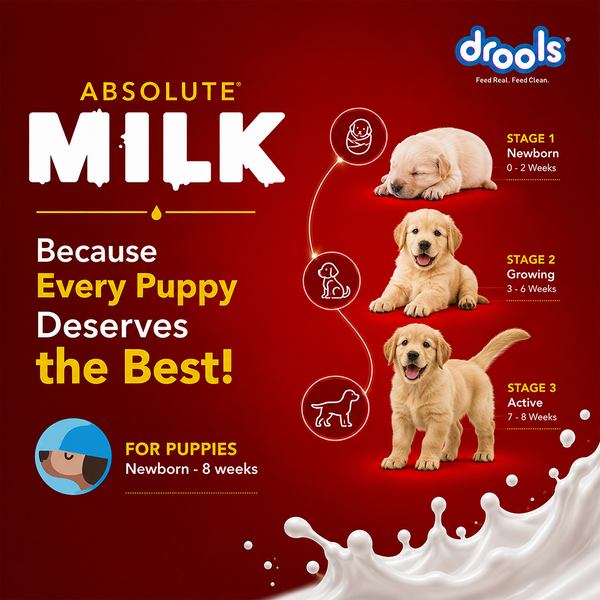 Drools Absolute Milk for Newborn Puppies