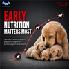 Drools Focus Pup Booster Puppy Weaning Diet for All Breeds (300g)