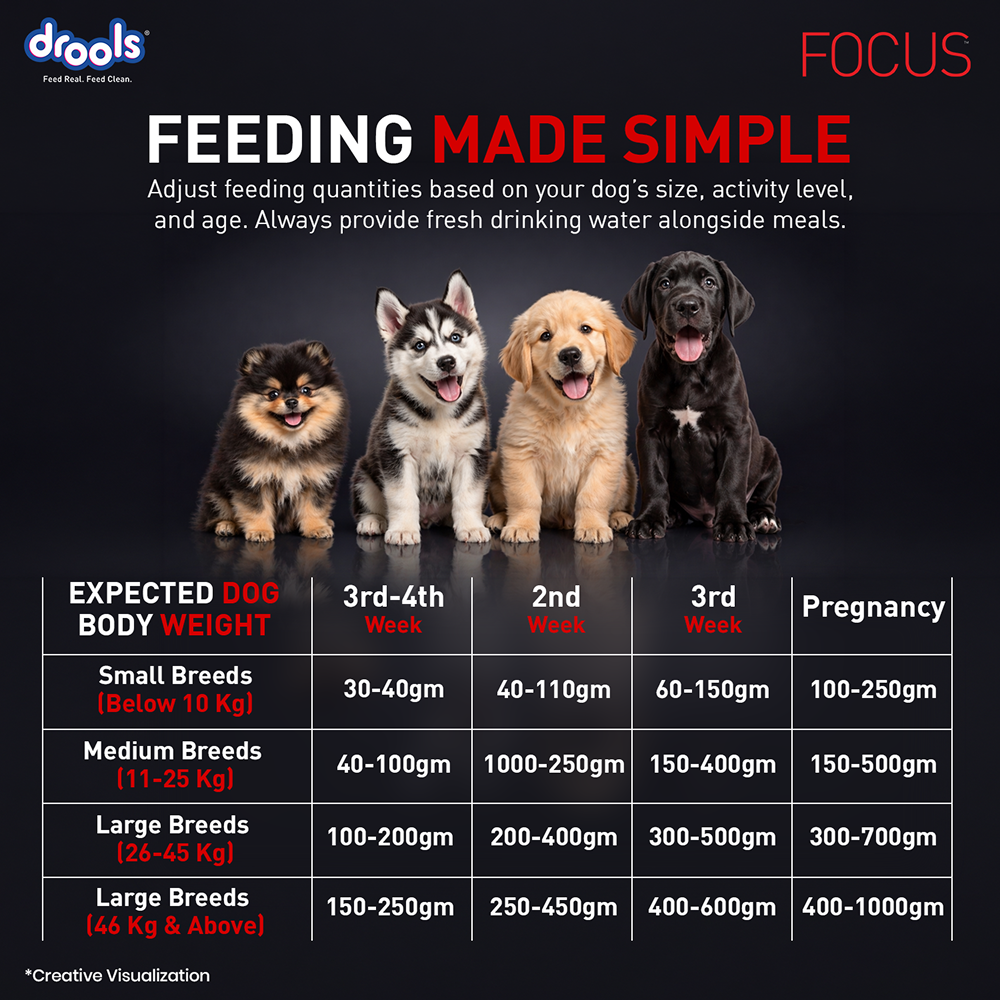 Drools Focus Super Premium Starter Dog Dry Food | Corn & Wheat Free Formula Dogs- Dry Food Drools Focus