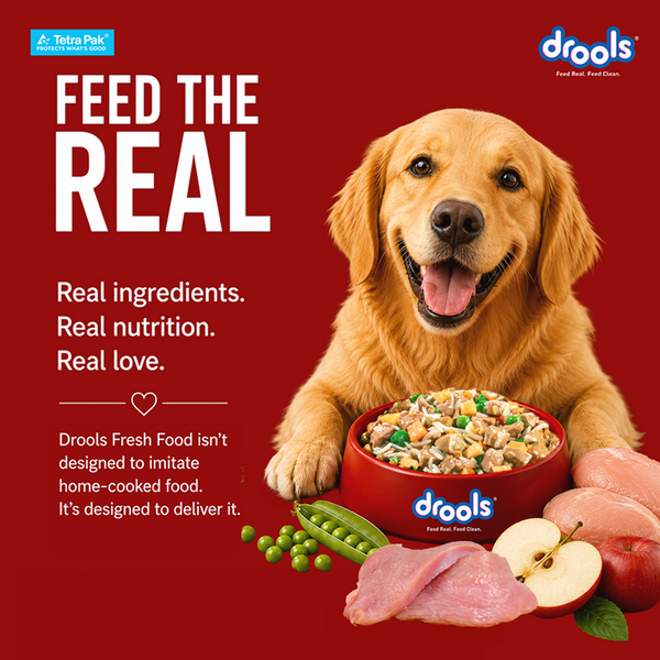 Drools Tetra Pack Real Chicken Turkey Dog Fresh Food