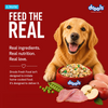 Drools Tetra Pak Real Chicken Turkey Dog Fresh Food Dogs-Fresh Food Drools
